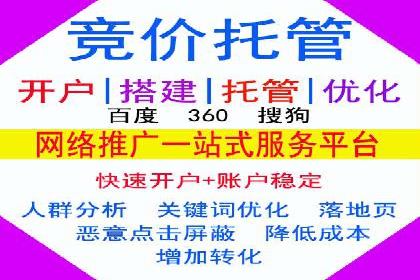 谷歌SEM广告策略：某电商平台的成功逆袭案例
